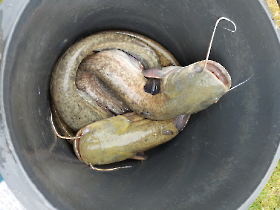 telepites_20230424_4