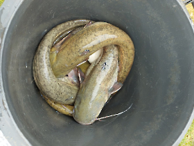 telepites_20230424_5