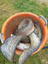 telepites_20230424_7