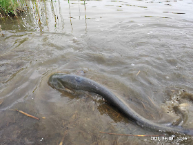 telepites_20230424_8