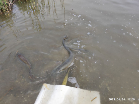 telepites_20230424_9