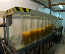 csukaszaporitas_2020_4