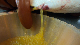 csukaszaporitas_2020_5