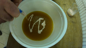 csukaszaporitas_2020_7