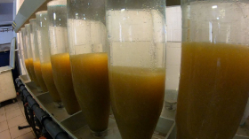 csukaszaporitas_2020_9