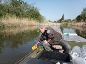 csukatelepites_20220503_12