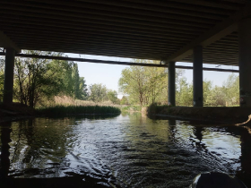 csukatelepites_20220503_14