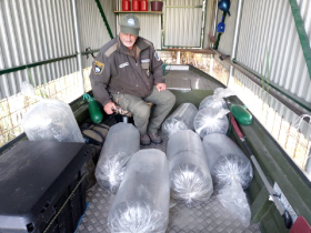 csukatelepites_20220503_3