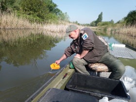 csukatelepites_20220503_4