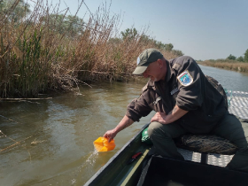 csukatelepites_20220503_6