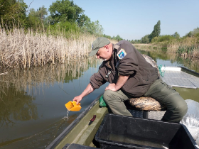 csukatelepites_20220503_9