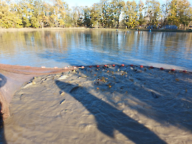 extra_ponty_20231116_5