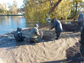 extra_ponty_20231116_6