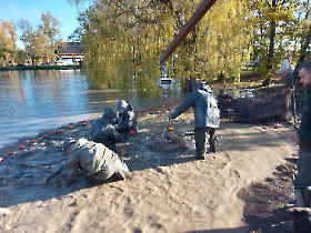 extra_ponty_20231116_7