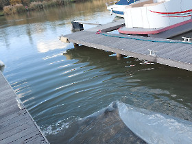 extra_ponty_20231116_8