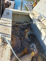 extra_ponty_20231116_9