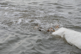 lehalaszas_20240311_18