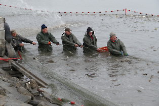 lehalaszas_20240311_1