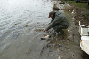 lehalaszas_20240311_20