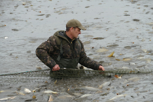 lehalaszas_20240311_2