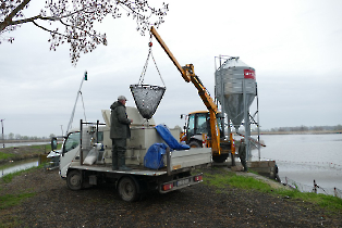 lehalaszas_20240311_5