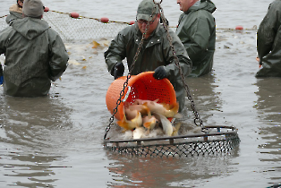 lehalaszas_20240311_6