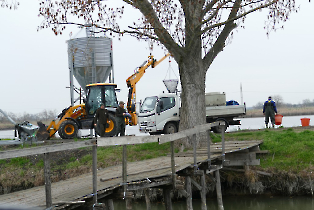 Lehalászás Dömsödön és pontytelepítés, 2024.03.11.