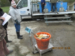 Lehalászás és telepítés