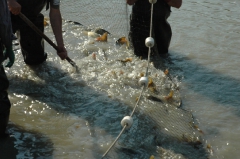 telepites_20100609_1