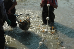 telepites_20100609_2