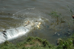 telepites_20100609_5