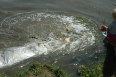 telepites_20100609_7