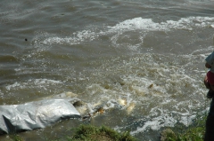 telepites_20100609_8