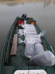 telepites_20190411_12