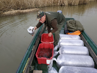 telepites_20190411_13