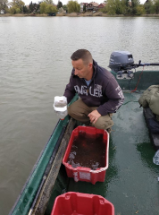 telepites_20190411_14