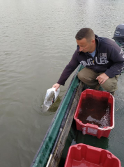 telepites_20190411_15