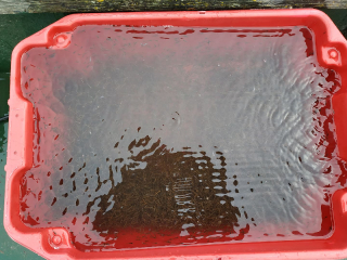 telepites_20190411_16