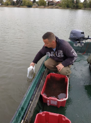 telepites_20190411_17