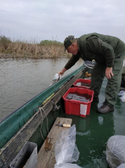 telepites_20190411_1