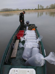 telepites_20190411_2