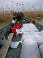 telepites_20190411_4