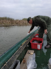 telepites_20190411_5