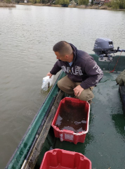 telepites_20190411_6