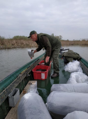 telepites_20190411_8