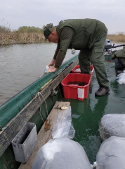 telepites_20190411_9