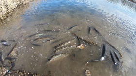 telepites_20190314_11