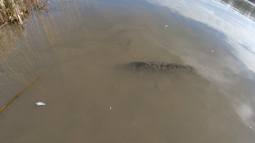 telepites_20190314_12