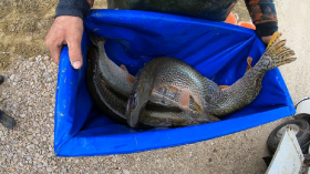 telepites_20190314_14