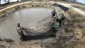 telepites_20190314_1